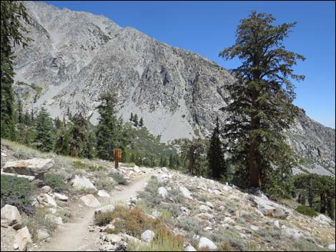 John Muir Trail