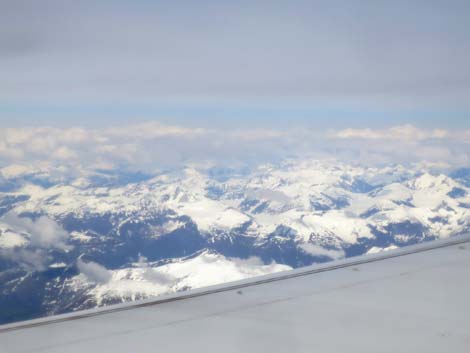 Alaska Birding