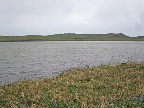 St. Paul, Pribilof Islands