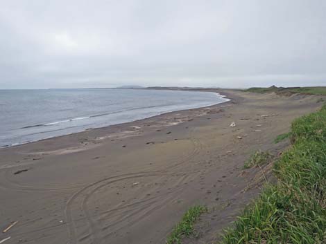 St. Paul, Pribilof Islands