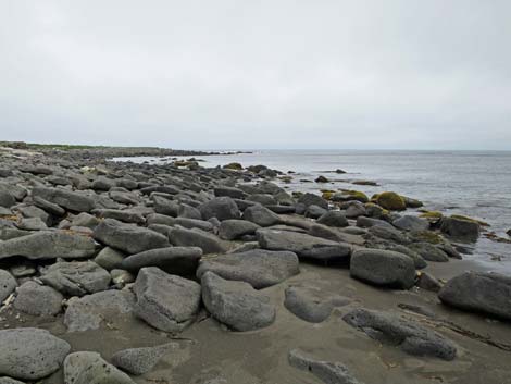 St. Paul, Pribilof Islands