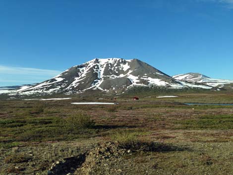 Nome birding