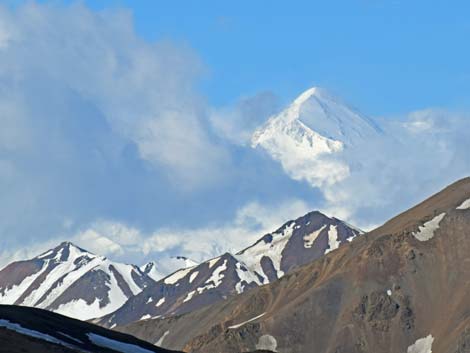 Denali birding