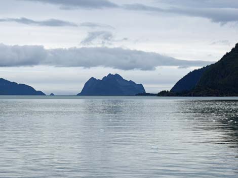 Seward birding