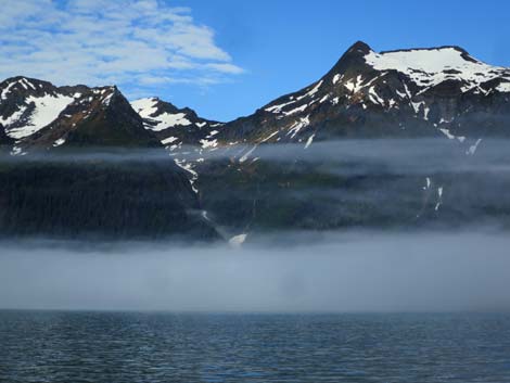 Seward birding