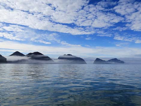 Seward birding