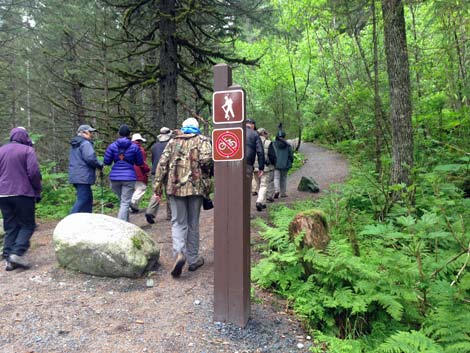 Seward Birding