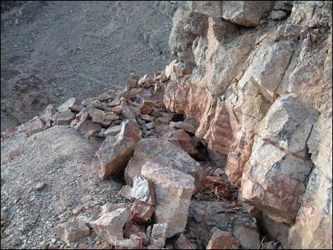 Cadiz Trilobite Quarry