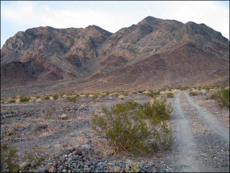 Chambless Trilobite Quarry