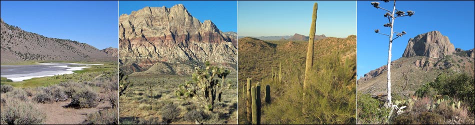 North American Deserts