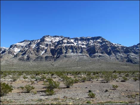 Arrow Canyon Wilderness Area