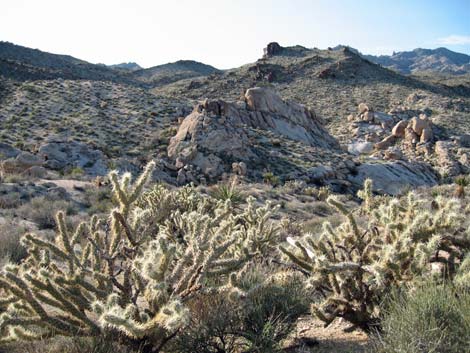 Bridge Canyon Wilderness Area