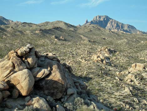 Bridge Canyon Wilderness Area