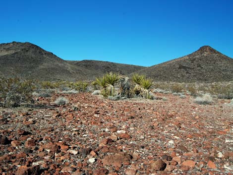 El Dorado Wilderness Area