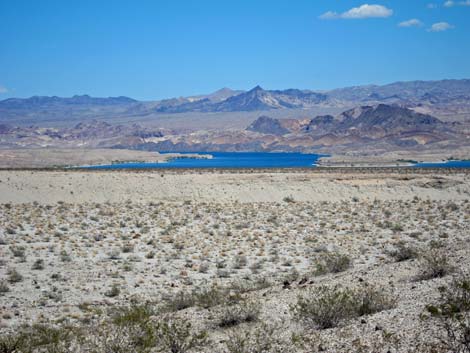 Ireteba Peaks Wilderness Area