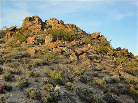 Jumbo Springs Wilderness Area