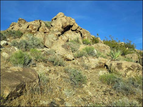 Jumbo Springs Wilderness Area