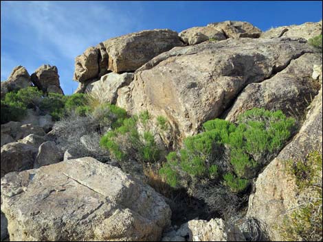 Jumbo Springs Wilderness Area