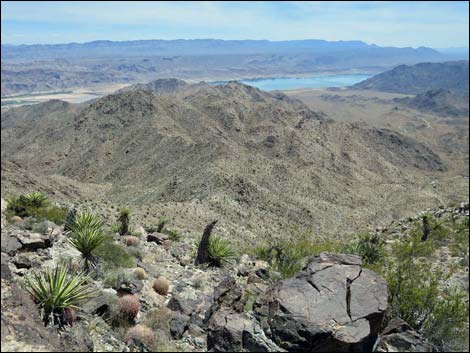 Jumbo Springs Wilderness Area