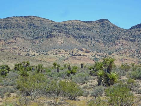 Meadow Valley Range Wilderness Area