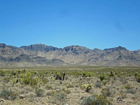 Meadow Valley Range Wilderness Area