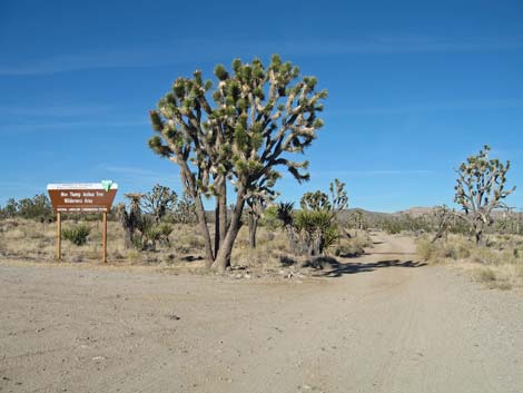 Wee Thump Wilderness Area