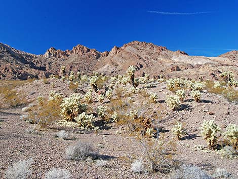 El Dorado Wilderness Area