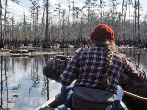 Liz in canoe and alligators